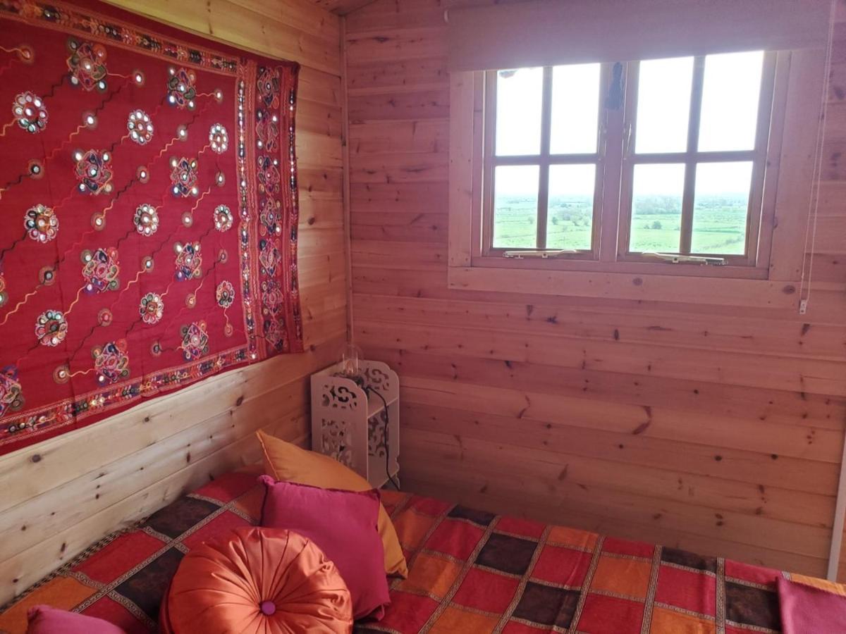 Healing Waters Sanctuary For Exclusive Private Hire And Self Catering Board, Vegetarian, Alcohol & Wifi Free Retreat In Glastonbury Exterior foto